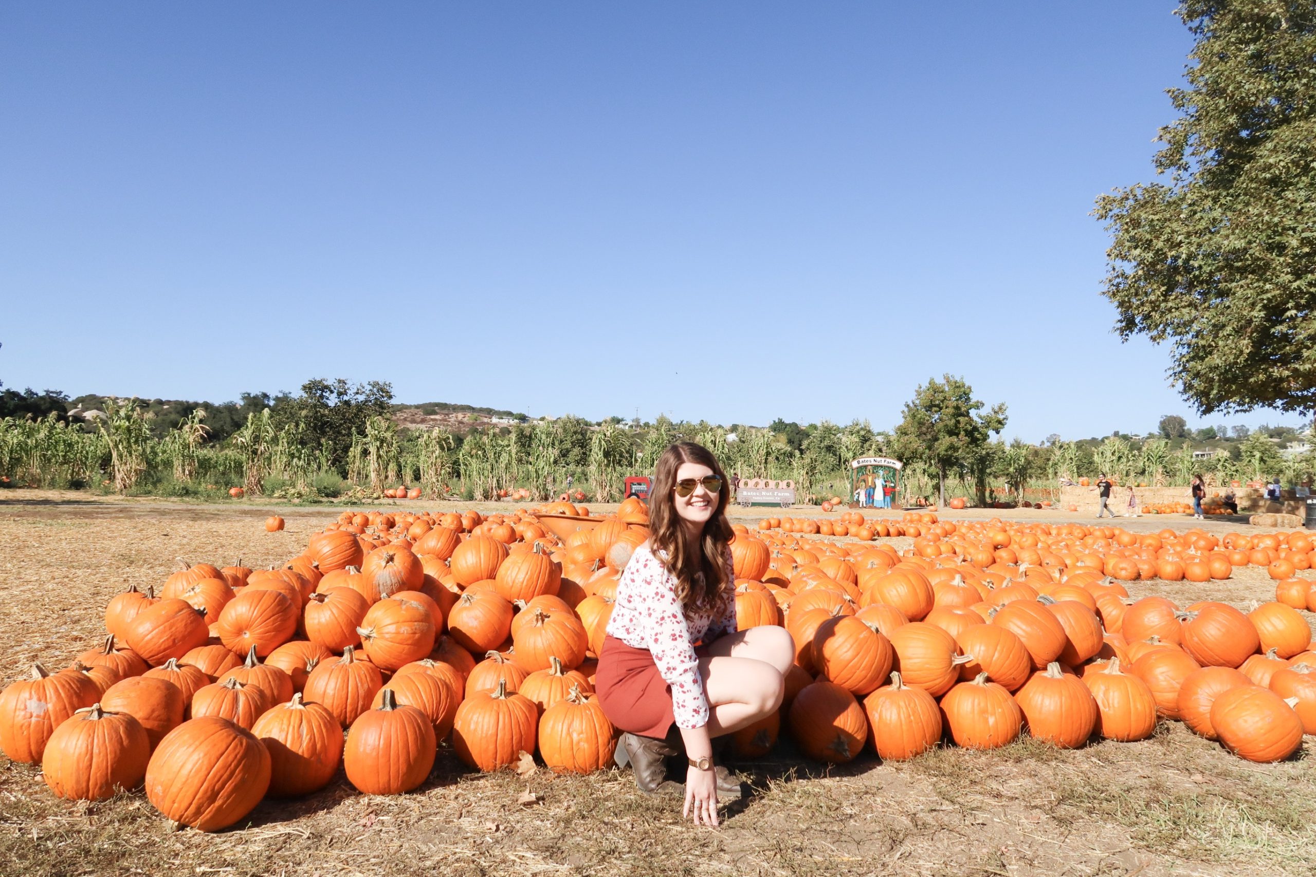 Pumpkin Picking at Bates Nut Farm It's Aimee Rebecca